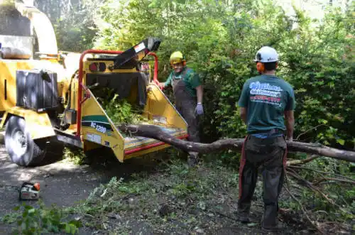 tree services Garden City